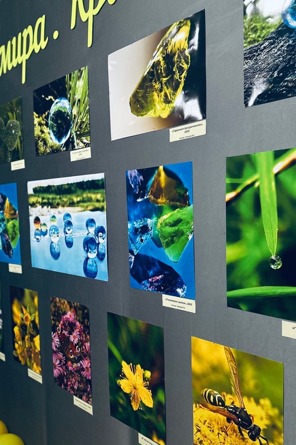 img 20251023 wa0014 1