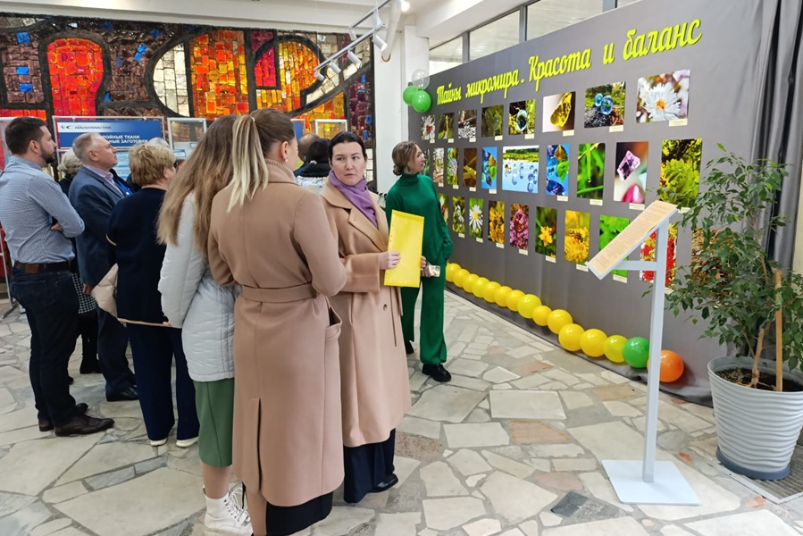 img 20251023 wa0037 1