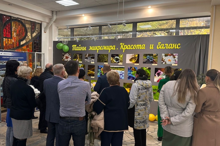 img 20251023 wa0081 1